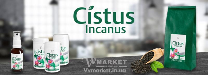 Купить Спрей Cistus Incanus ладанник и мята (витаминизированный), 30мл, LR с доставкой Киев, Львов, Одесса, Николаев, Херсон, Харьков, Полтава, Днепропетровск, Запорожье, Донецк, Измаил, Сумы, Терновка, Могилев-Подольский, Жашков, Косов, Луганск, Раздельная, Луцк, Фастов, Тернополь, Тетиев, Казатин, Белая Церковь, Обухов, Черновцы, Овидиополь, Коломыя, Изюм, Борисполь, Радехов, Днепрорудное, Очаков, Доброполье, Кременчуг, Вышгород, Гадяч, Калуш, Нежин, Татарбунары, Немиров, Добрянка, Каменец-Подольский, Ужгород, Каменка, Кривой Рог, Куйбышево, Черноморск, Ширяево, Червоноград, Умань, Хмельник, Прилуки, Хмельницкий, Черкассы, Кулиничи, Мариуполь, Купянск, Ладыжин, Украина, Россия, Казахстан
